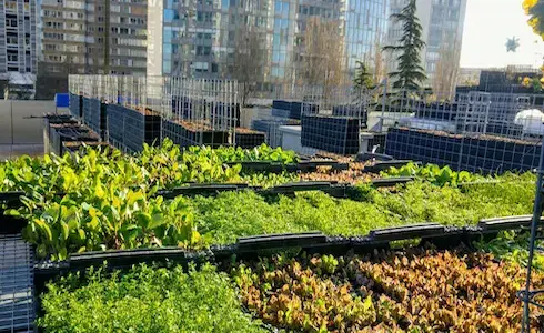 Ferme urbaine